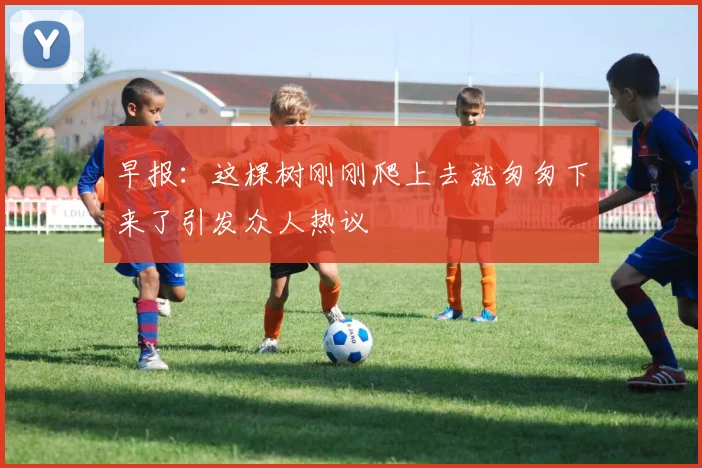 早报：这棵树刚刚爬上去就匆匆下来了引发众人热议