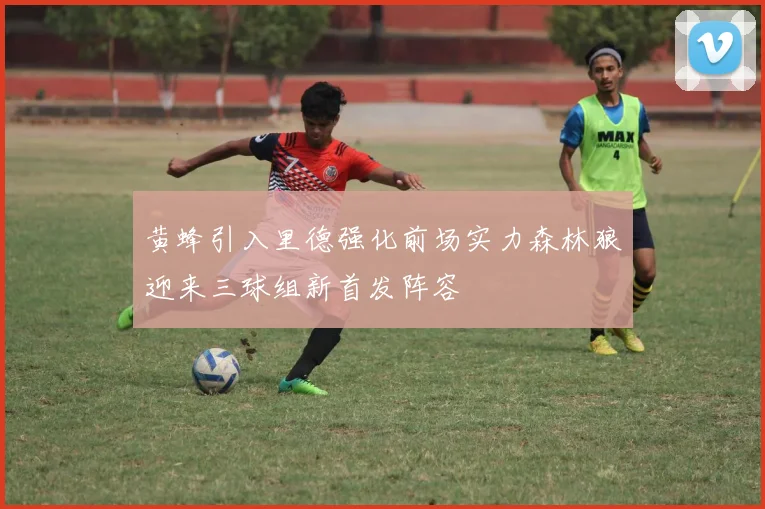 黄蜂引入里德强化前场实力森林狼迎来三球组新首发阵容