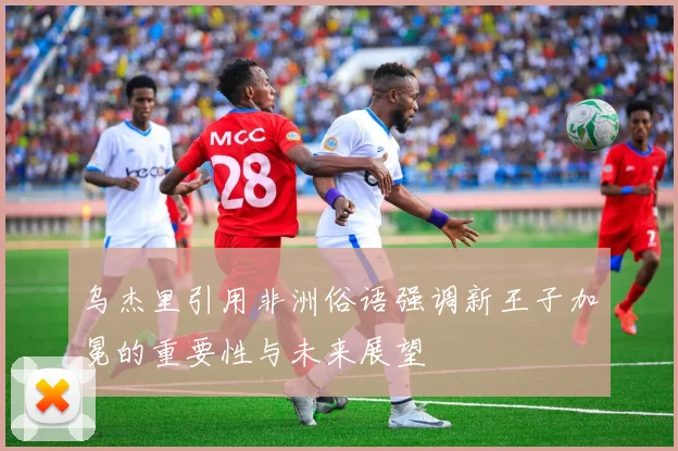 乌杰里引用非洲俗语强调新王子加冕的重要性与未来展望