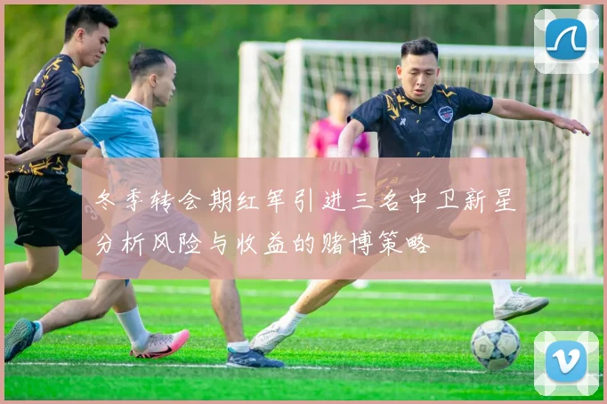 冬季转会期红军引进三名中卫新星分析风险与收益的赌博策略